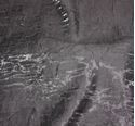 Picture of Linen - Crushed Iridescent Satin Black