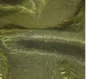 Picture of Linen - Crushed Iridescent Satin Moss